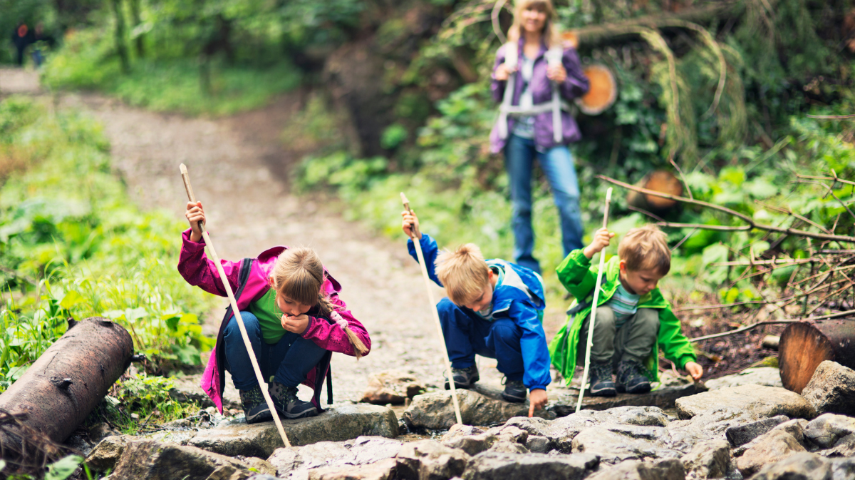 Learn Wild Home School