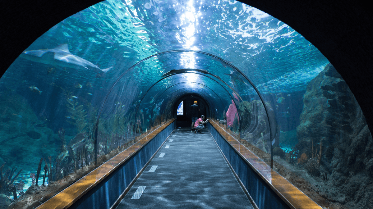 Moody Gardens Aquarium